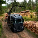 RenaultTrucksTransportDrewna-1