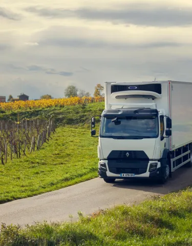 Renault Trucks D Wide 19 tonnes équipé d'une caisse réfrigérée Lamberet : sur la route au milieu des vignes en automne